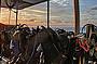 2 Day/ 1 Night Snorkeling Trip - MV Kangaroo Explorer