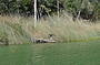 Lake Wabby