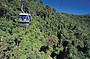 Skyrail Rainfroest Cableway